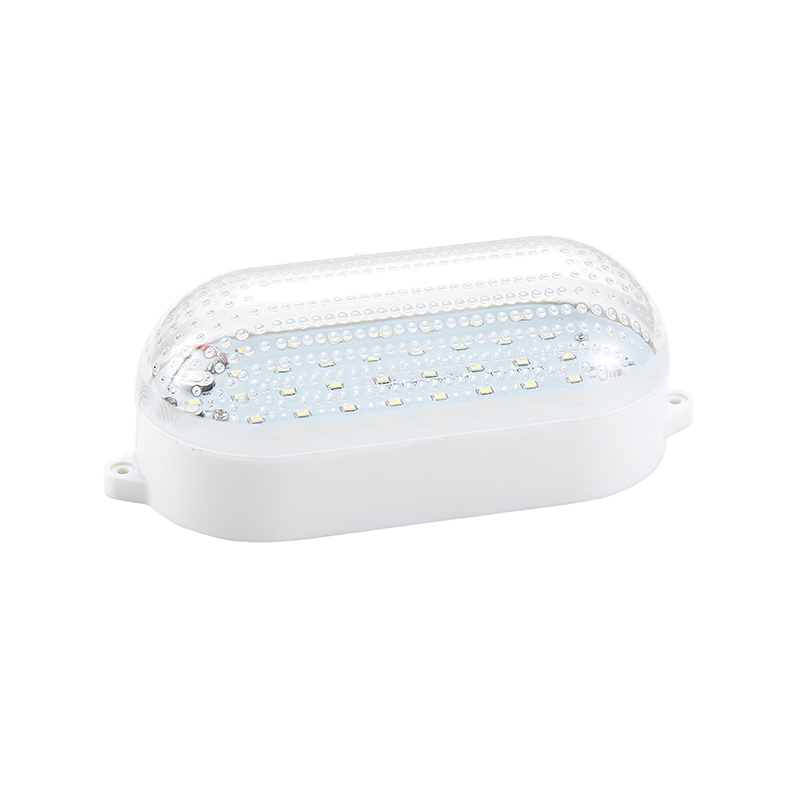 LED special lamp for cold storage